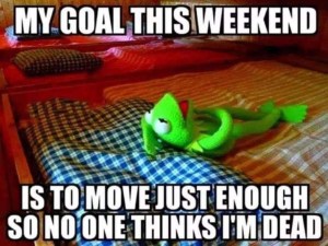 Meme of Kermit the Frog laying on his back that says “my goal for this weekend is to move just enough so no one thinks I’m dead.”
